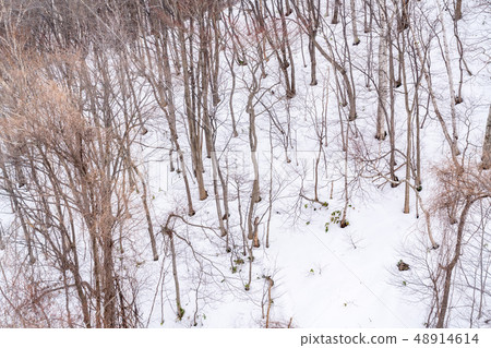 雪山圖像 48914614