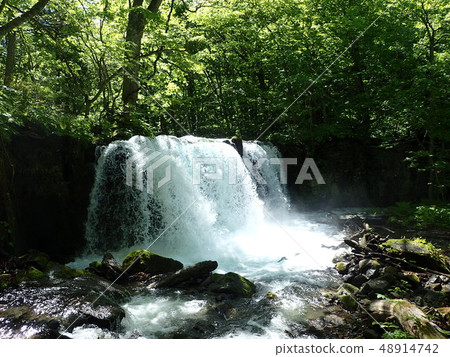 Choshi Otaki Choshi Otaki 48914742