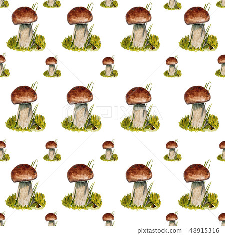 Seamless pattern with boletus mushrooms. 48915316