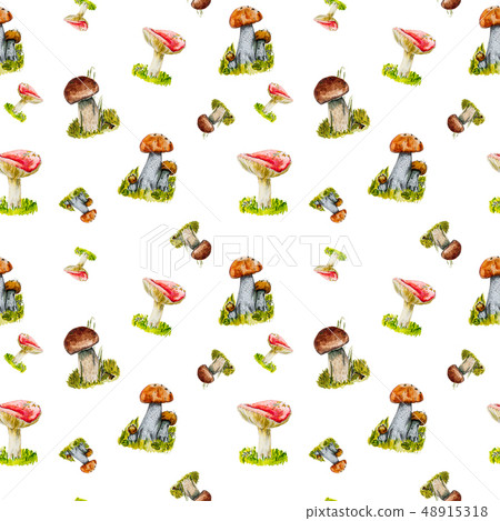 Watercolor painting with edible mushrooms. 48915318