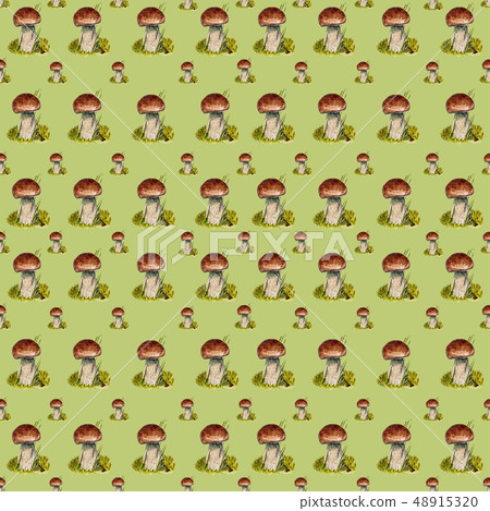 Seamless pattern with mushrooms Boletus edulis. 48915320
