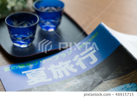 Travel, travel magazines (fictional magazines) 48915715