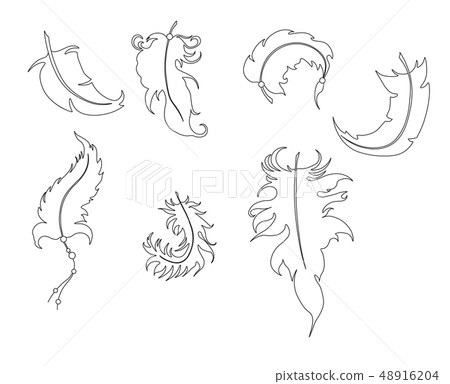 the collection of feathers the collection of feathers 48916204