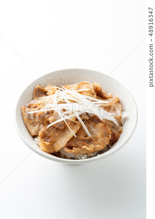 Bowl of pork 48916347