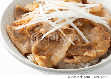 Bowl of pork 48916348