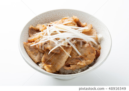 Bowl of pork 48916349