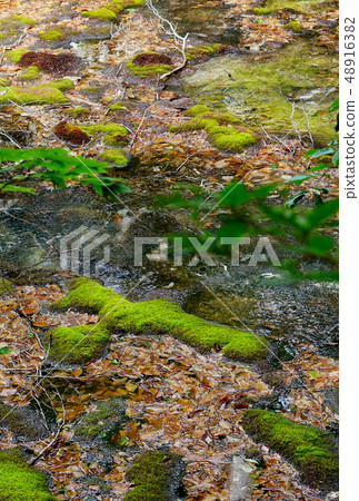 Shishigasan wetland Akita Shishigasan wetland Akita 48916382