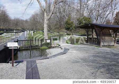 Daio wasabi farm: A hydrophilic open space Azumino city Hotaka Daio wasabi farm: A hydrophilic open space Azumino city Hotaka 48916657