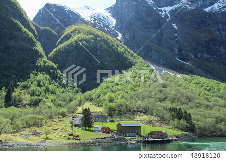 Norwegian fjord beautifully magnificent landscape 48918120