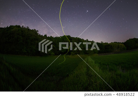 firefly and milky way firefly and milky way 48918522