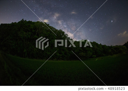 firefly and milky way  48918523