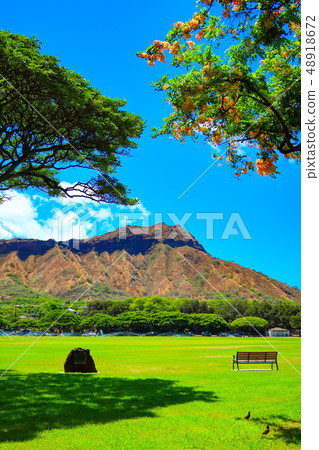 從卡皮歐拉尼公園（夏威夷）看到的鑽石頭 48918672