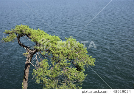 Takeyu Island Lake Biwa Matsuki Lake Biwa八景 48919034