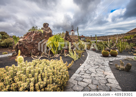 Cactuses in the Cactus garden, Lanzarote, Canaries 48919301