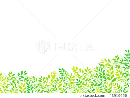 清新樹葉、嫩葉、綠葉、新鮮綠葉的形象 48919666