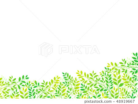 清新樹葉、嫩葉、綠葉、新鮮綠葉的形象 48919667