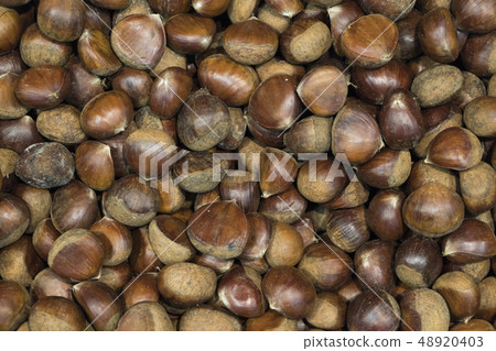 background of ripe brown hazelnuts in the supermarket background of ripe brown hazelnuts in the supermarket 48920403