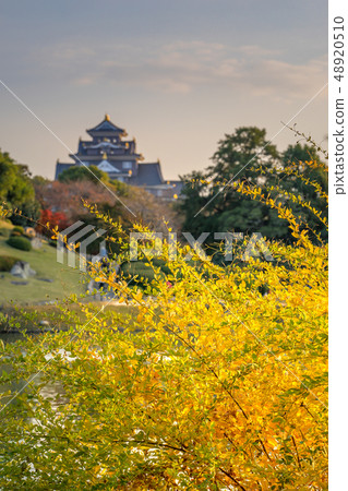 View Okayama Castle from Okayama Korakuen! (Kita Ward, Okayama City, Okayama Prefecture) *Photo location in the comment section View Okayama Castle from Okayama Korakuen! (Kita Ward, Okayama City, Okayama Prefecture) *Photo location in the comment section 48920510