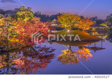 岡山後樂園，夜間特別開放“幻想花園”（岡山縣岡山市北區） 48920527