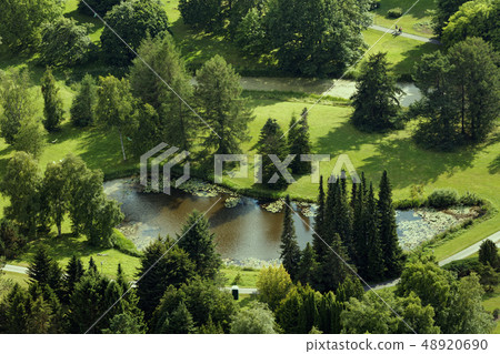 Aerial view lake in the summer park Aerial view lake in the summer park 48920690