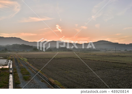 May The morning before planting rice 48920814