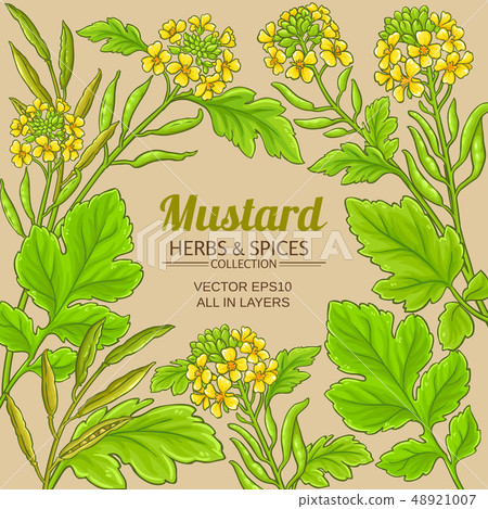 mustard vector frame mustard vector frame 48921007