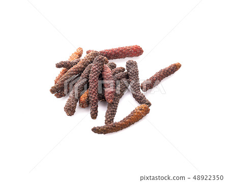 Long pepper or Piper longum isolated on white Long pepper or Piper longum isolated on white 48922350