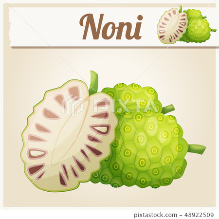 Noni fruit illustration. Cartoon vector icon 48922509
