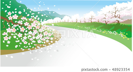 Cherry Blossom Road 48923354