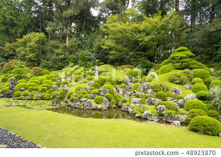 Ii Naotora Yukari Ryuji Temple Garden（靜岡縣濱松市） 48923870