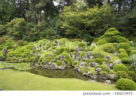 Ii Naotora Yukari Ryuji Temple Garden（靜岡縣濱松市） 48923955