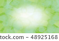 Image background / green 48925168