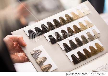 Cropped photo of palette with new hair colors trends Cropped photo of palette with new hair colors trends 48925482