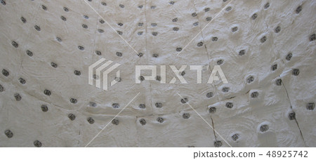 Torch of the closed type, look from within 48925742