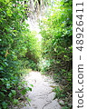 A green tunnel that follows the beach on Ikeijima, Uruma City, Okinawa Prefecture 48926411