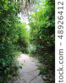 A green tunnel that follows the beach on Ikeijima, Uruma City, Okinawa Prefecture 48926412