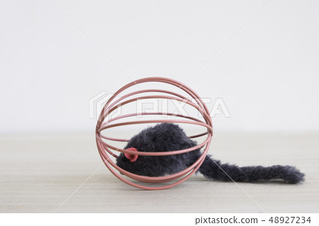 A cat toy playing with a ball toy with a long tail mouse (close-up) 48927234