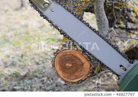 sawn electric sawing tree sawn electric sawing tree 48927797