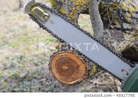 sawn electric sawing tree sawn electric sawing tree 48927798