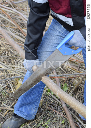 man saws sawing tree branch. Wood sawing with a man saws sawing tree branch. Wood sawing with a 48927866
