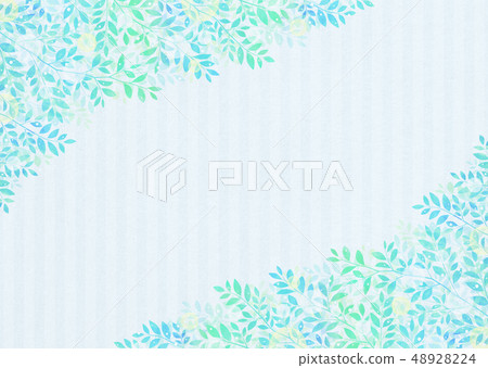 Fresh leaf image, young leaves, green leaves, fresh green 48928224