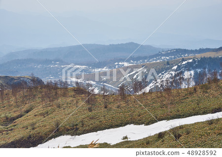 Gunma Prefecture Golden Week Shiga Kusatsu Road 48928592