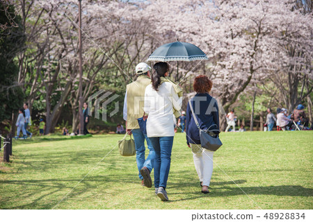 [根岸森林公園染井吉野] 48928834