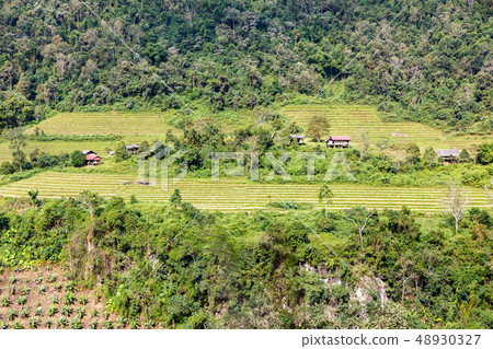 fields and jungle on the mountainside 48930327