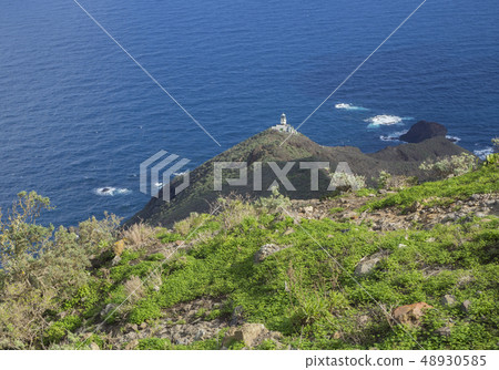 view on Faro de Anaga lighthouse with green hills blue sea atlantic ocean scenery in anaga mountain 48930585