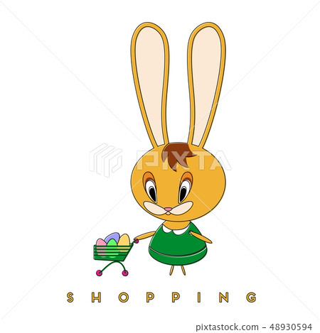 Rabbit and shopping Rabbit and shopping 48930594
