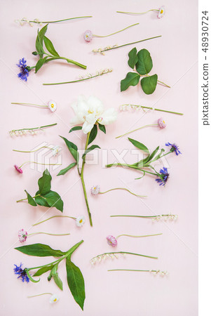 Flat-lay of lily of the valley, cornflower, daisy 48930724
