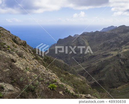 lava rock cliff with small green vegetation, blue sea horizon and sky with white clouds in anaga lava rock cliff with small green vegetation, blue sea horizon and sky with white clouds in anaga 48930838
