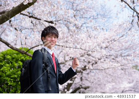 新社會人士新人 48931537