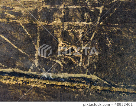 Devastated land, after a fire. Disaster 48932401
